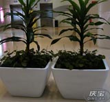 特種聚氨酯泡沫粘接力改善劑，防止冰箱冰柜保溫層與殼體發生脫層與空鼓