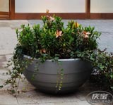 多功能粘結力改善助劑，改善油墨在塑料薄膜上的附著牢度，耐揉搓不掉色