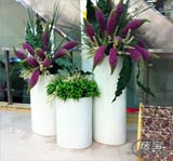 高效聚氨酯增硬劑,縮短脫模時(shí)間,提高硬度上升速度,加快生產(chǎn)周轉(zhuǎn)效率